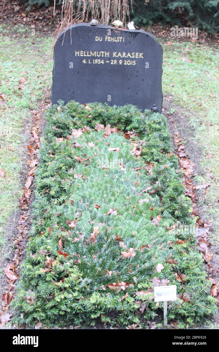 Grabstaette Hellmuth Karasek,Cemetery Ohlsdorf Hamburg,25.01.2020 Stock Photo
