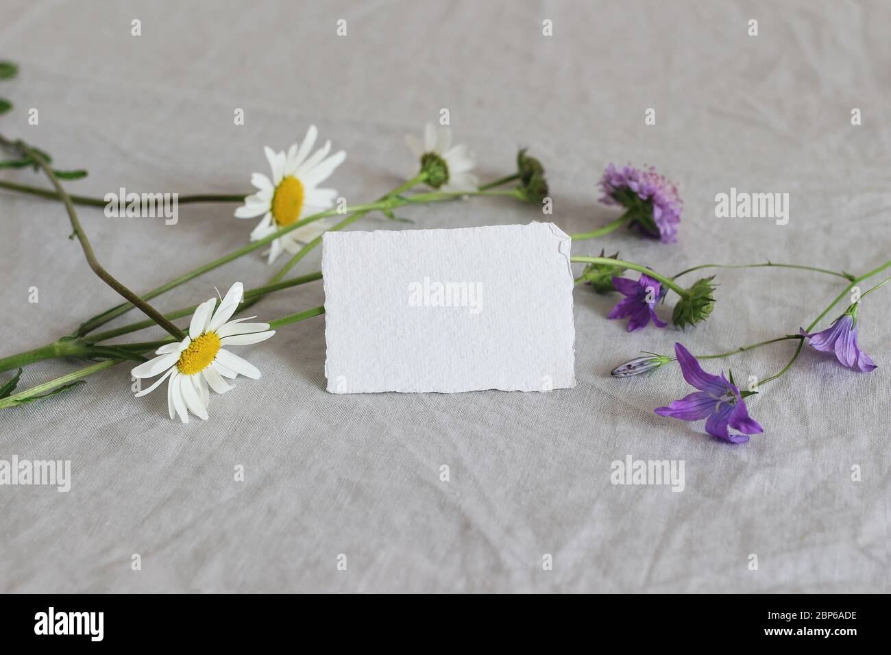 Spring, summer still life composition. Closeup of blank business, place card cotton paper mockup with wild flowers on linen table cloth. Daisies, blue Stock Photo