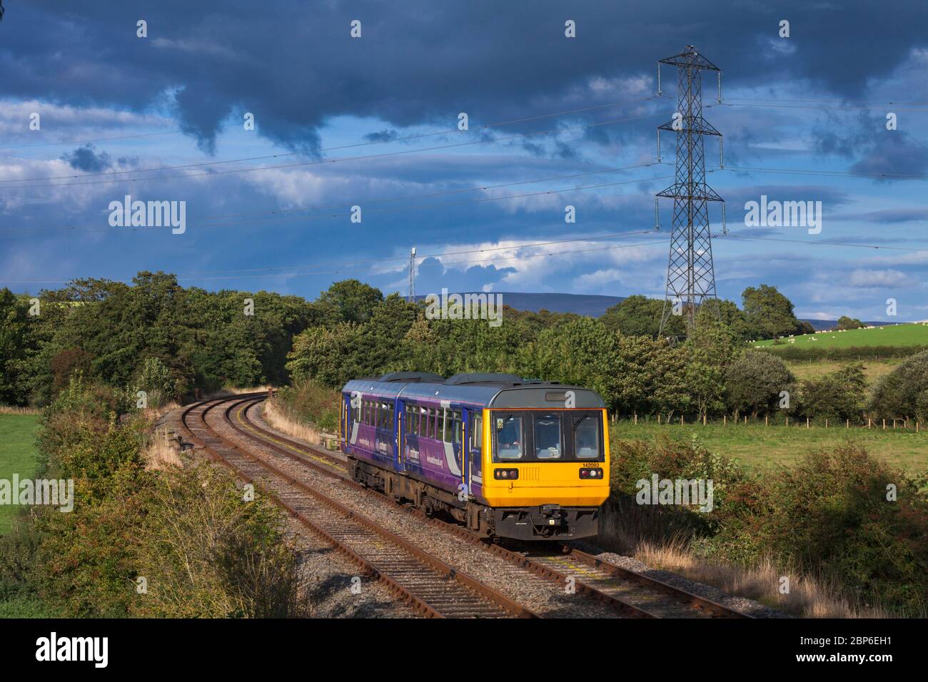 Northern rail class 142 pacer train 142093 on the scenic little north western railway line passing the countryside at Keerholme Stock Photo