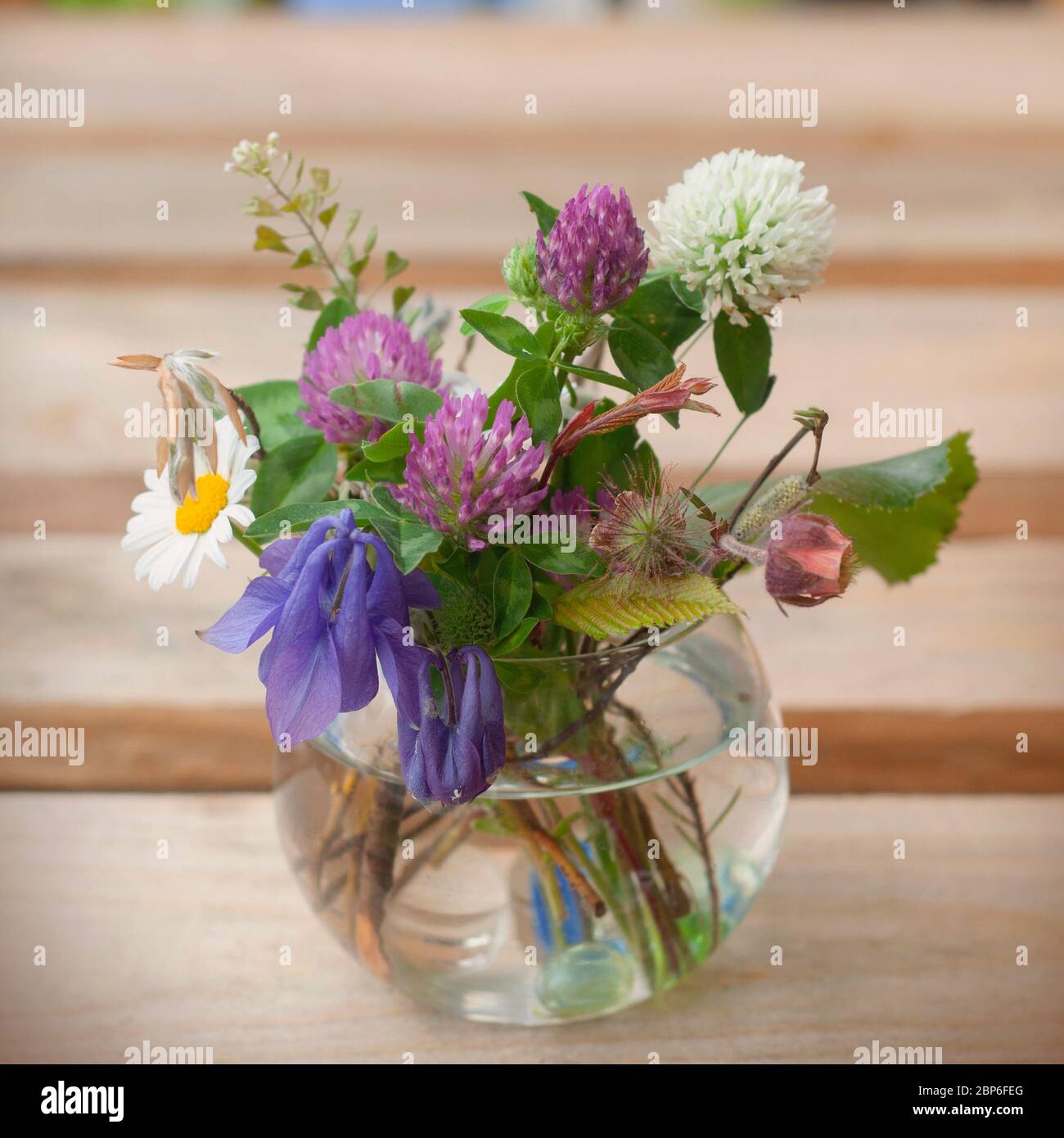 Beautiful bouquet of spring flowers: camomile, Aquilegia Vulgaris, Trifolium isolated on wooden background Stock Photo