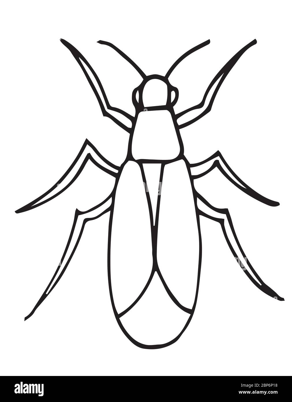 Insect Outline Vector Icon Coloring Page For Kids Exotic Bug hand 
