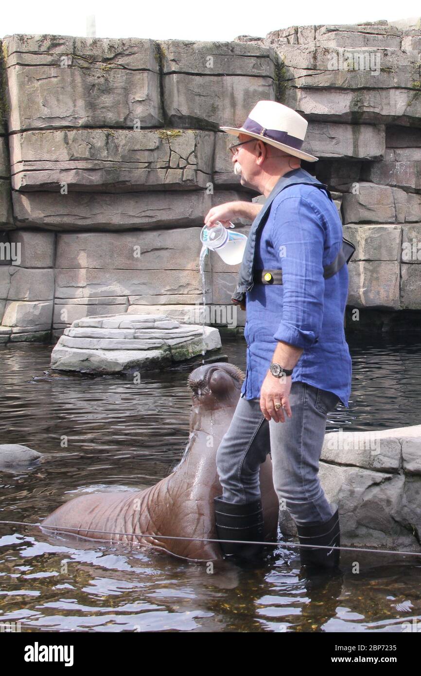 Horst Lichter,Walrusbaby Fiete is baptized,Hagenbeck Zoo,02.08.2019 Stock Photo