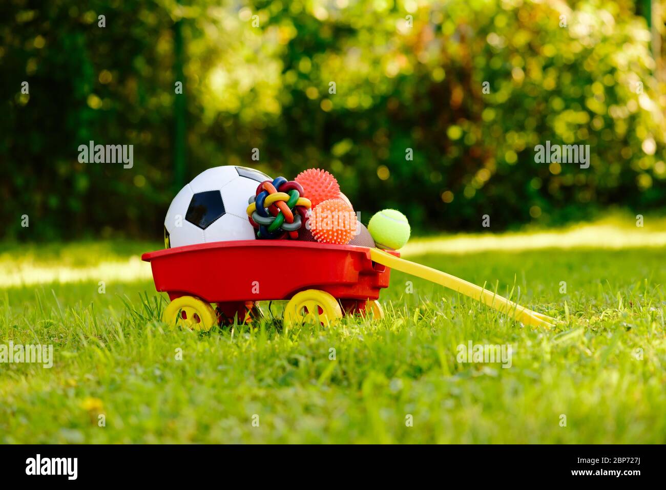Concept of dogs life enrichment with cart full of pet and sport balls and toys Stock Photo