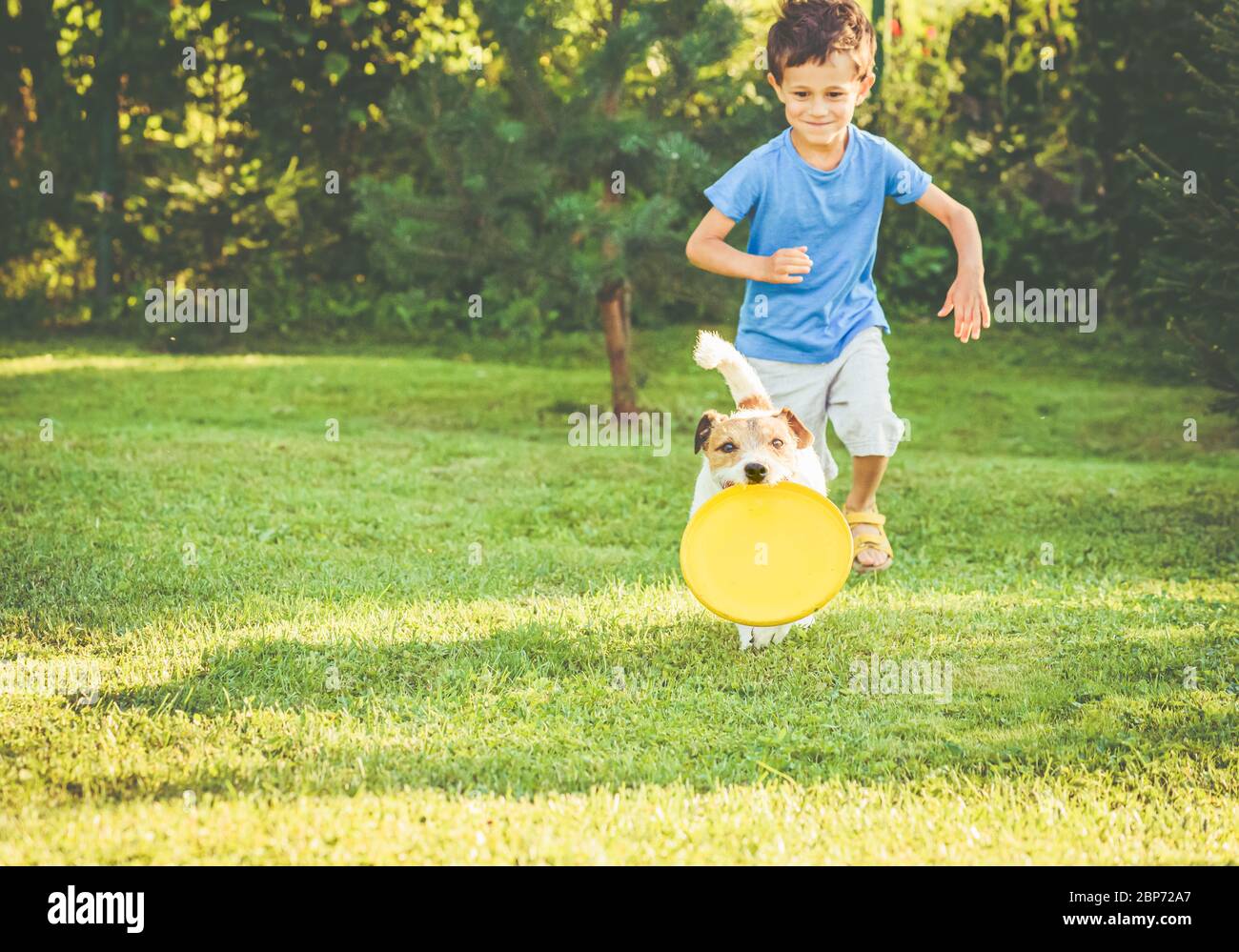 Boy exercises his dog with flying disk to keep it fit in backyard garden Stock Photo