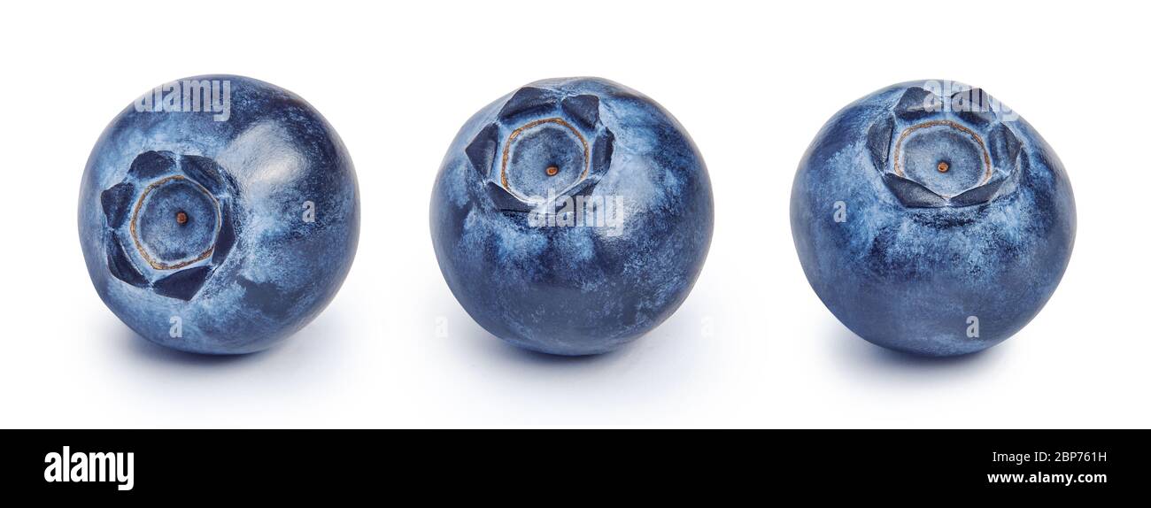 Set of three blueberries isolated on white background. Stock Photo