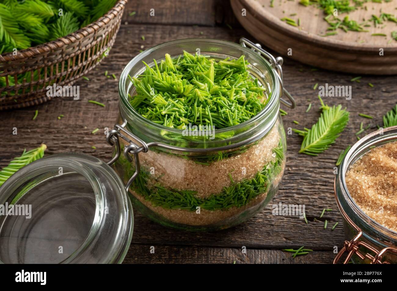 Preparation of homemade syrup against cough from young spruce tips and cane sugar Stock Photo