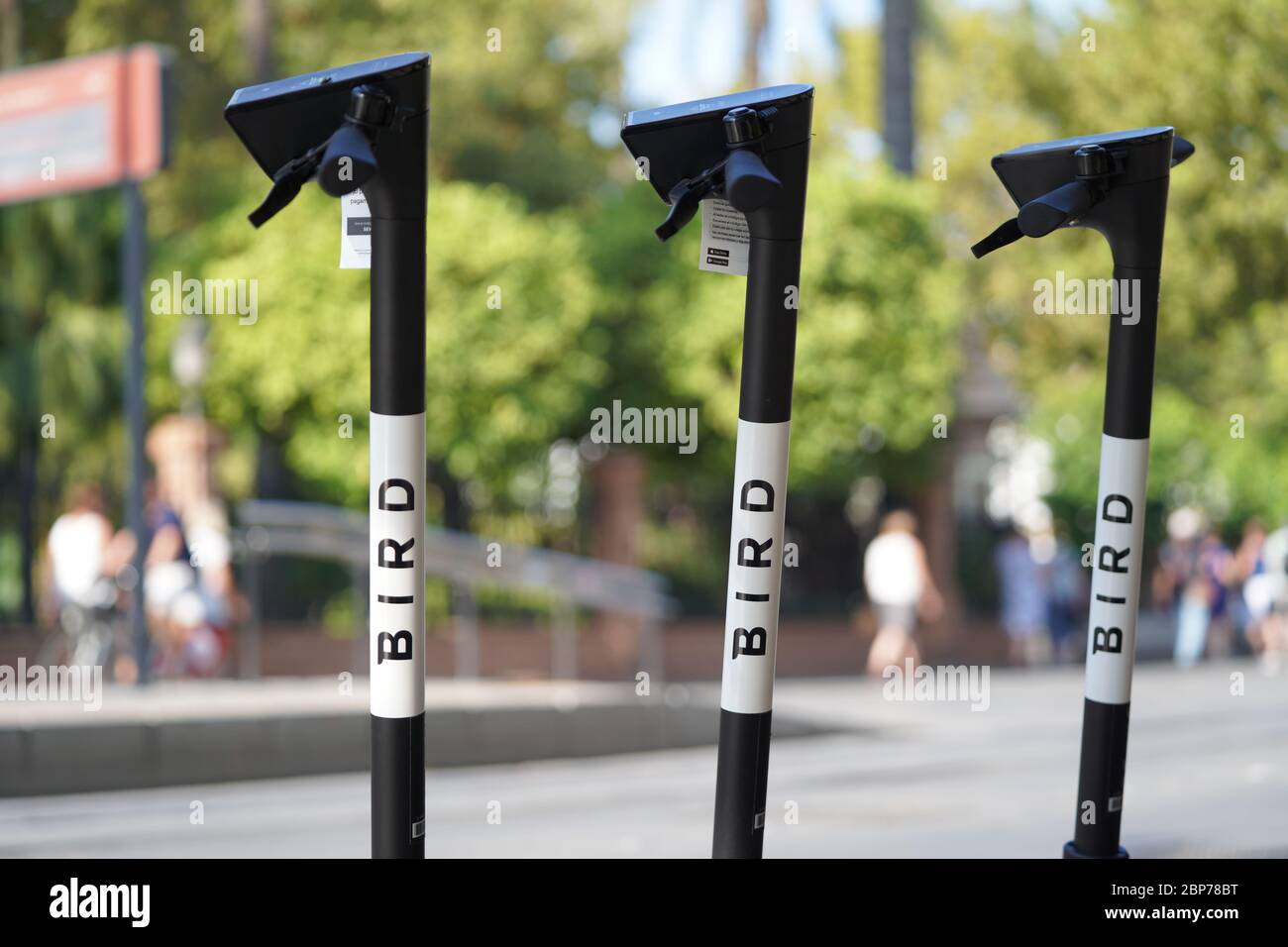 Symbolfotos und Symbolbilder des neuen E-Scooter Anbieters BIRD mit Logo in Deutschland. Stock Photo