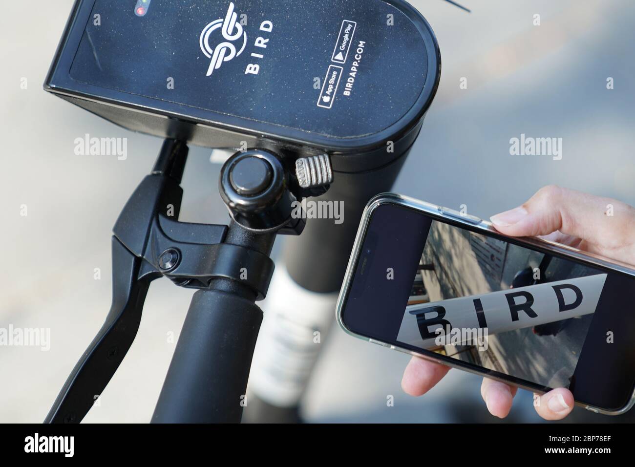 Symbolfotos und Symbolbilder des neuen E-Scooter Anbieters BIRD mit Logo in Deutschland. Stock Photo