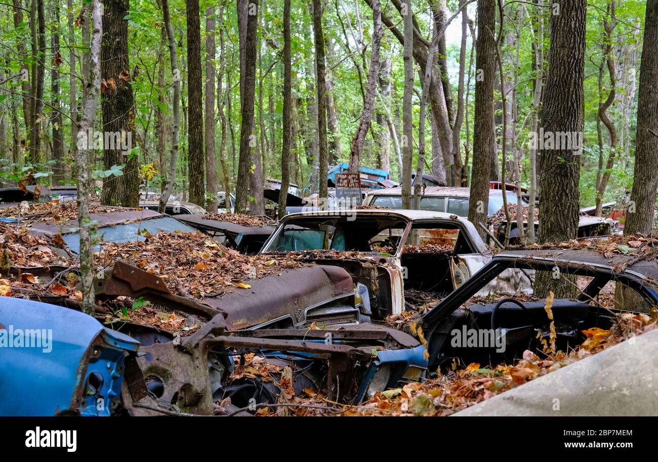 Scrap cars woods hi-res stock photography and images - Alamy