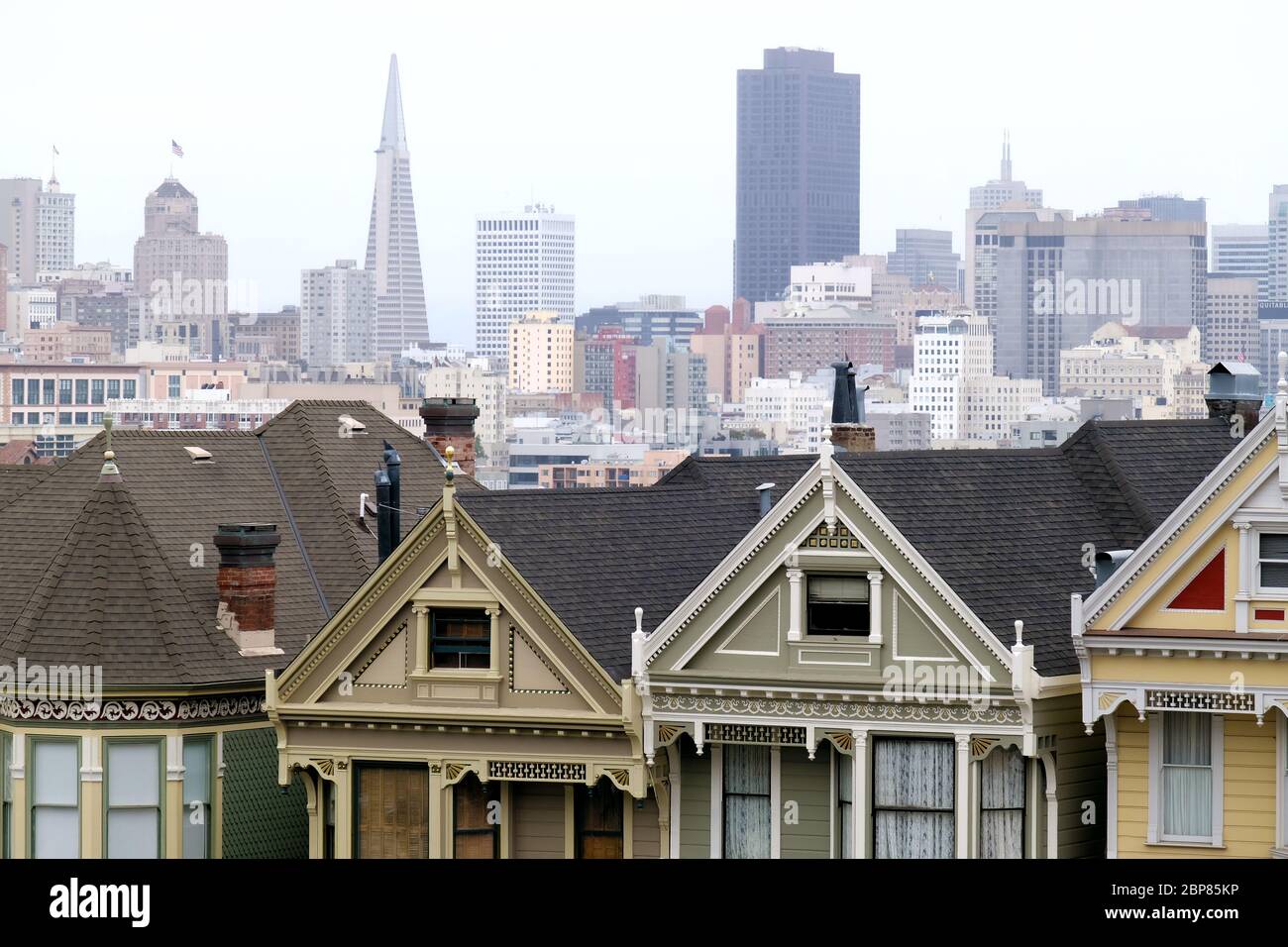 Famous victorian houses and skyline viewed from alamo square san