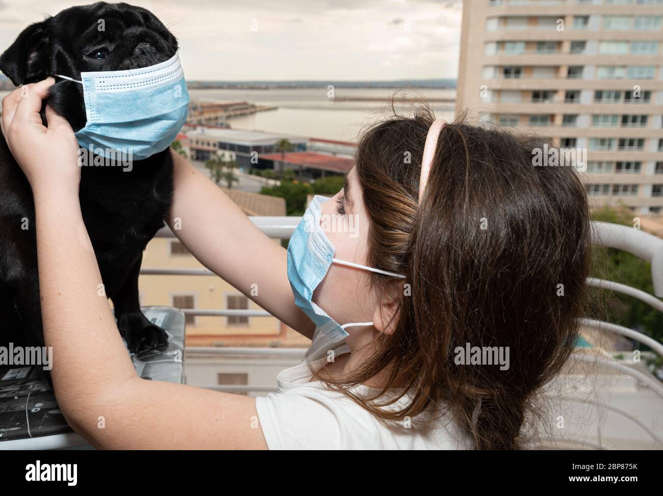 Kid and her pet wearing their masks Stock Photo Alamy
