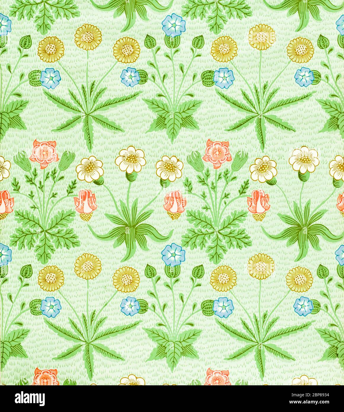 William Morris, Morris & Co, Daisy, wallpaper pattern, 1862-1864, Arts and Crafts Movement Stock Photo