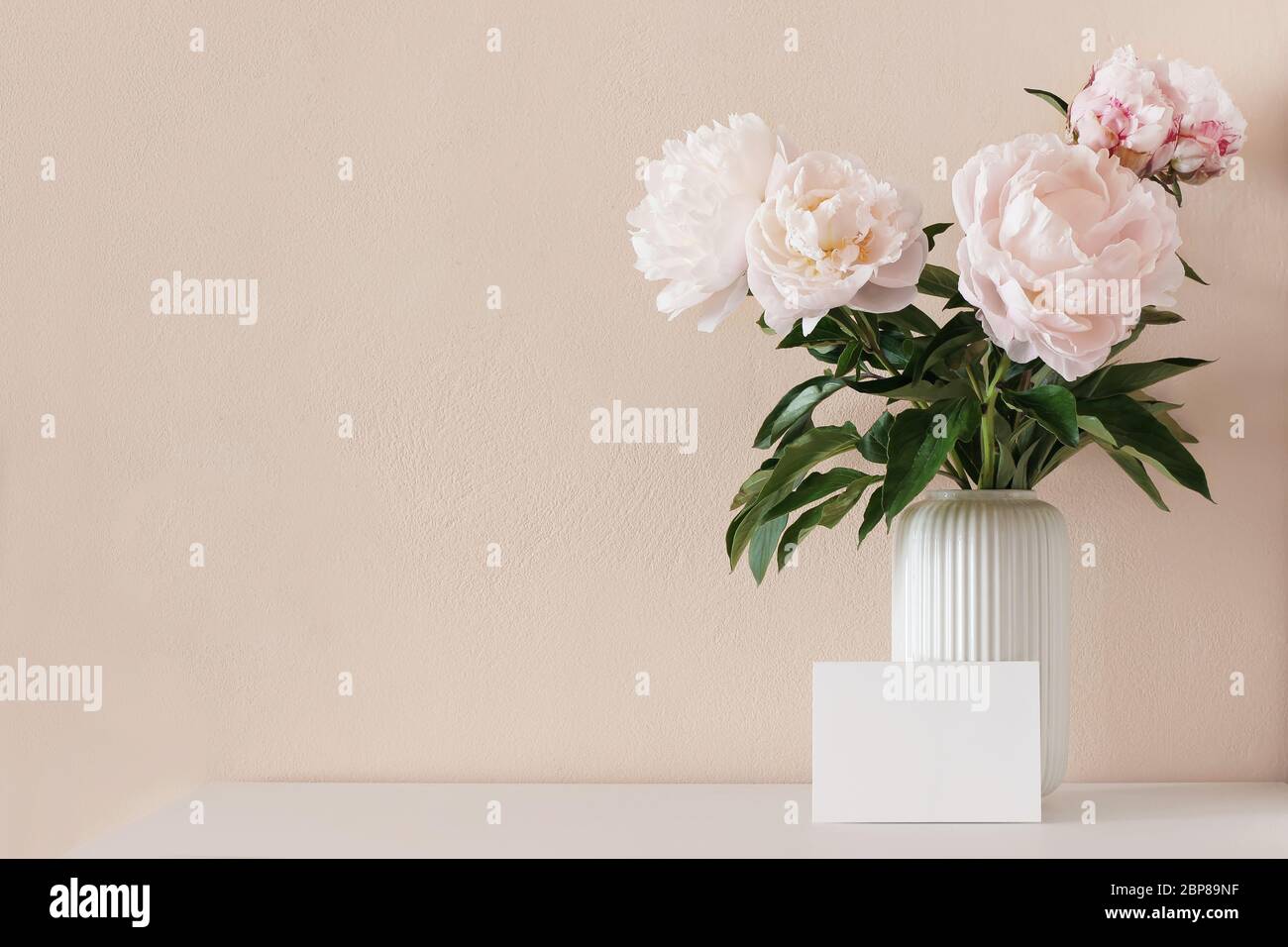 Spring, summer floral still life. Pink peony flowers bouquet in porcelain vase on white wooden table. Blank greeting card mockup scene. Nude wall back Stock Photo