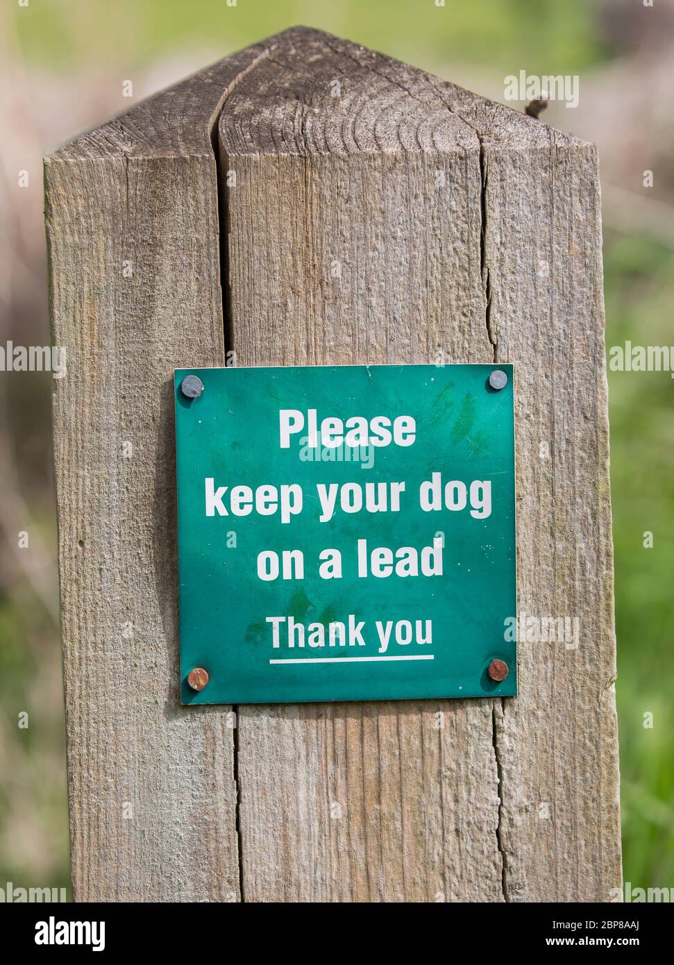 Sign on post to dog owners, notice to keep their dog on a lead when walking in countryside, UK. Countryside code, concept of responsibility. Stock Photo