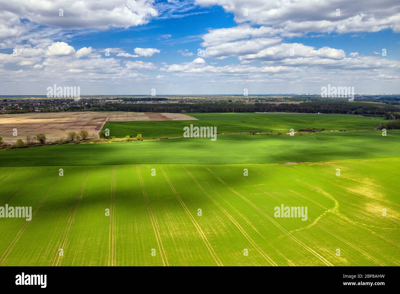 Aerial view of green field at sunny day Stock Photo - Alamy