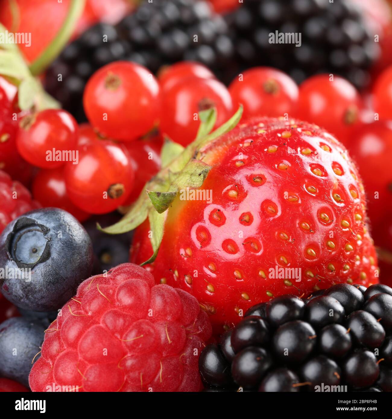 Erdbeere und brombeere hires stock photography and images Alamy