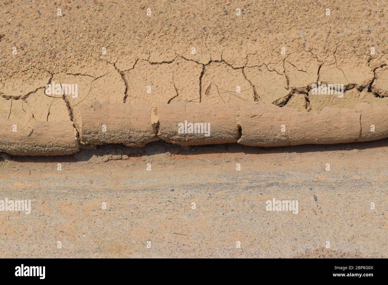 Dried and cracked earth background Stock Photo