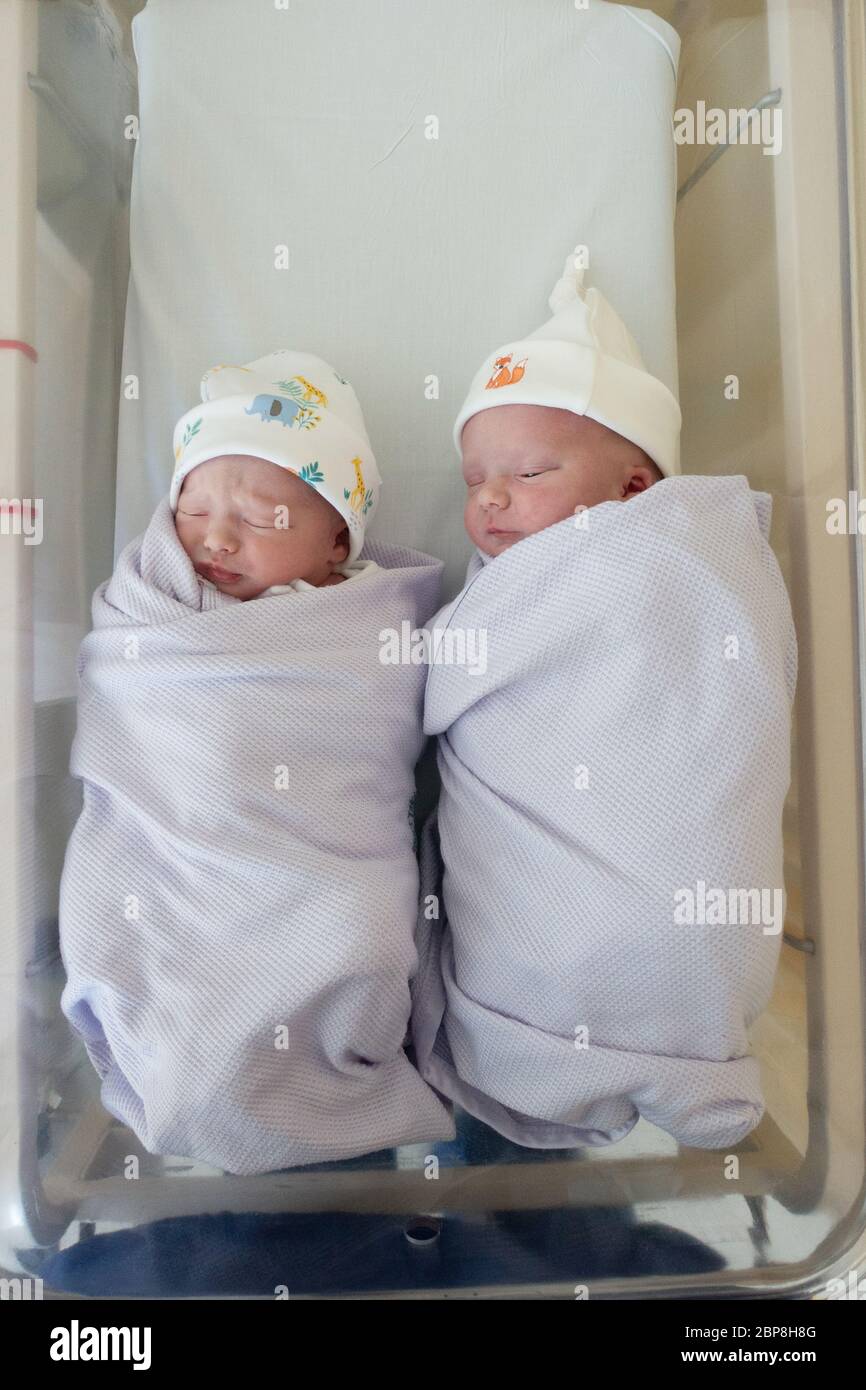 twin sleeping cot