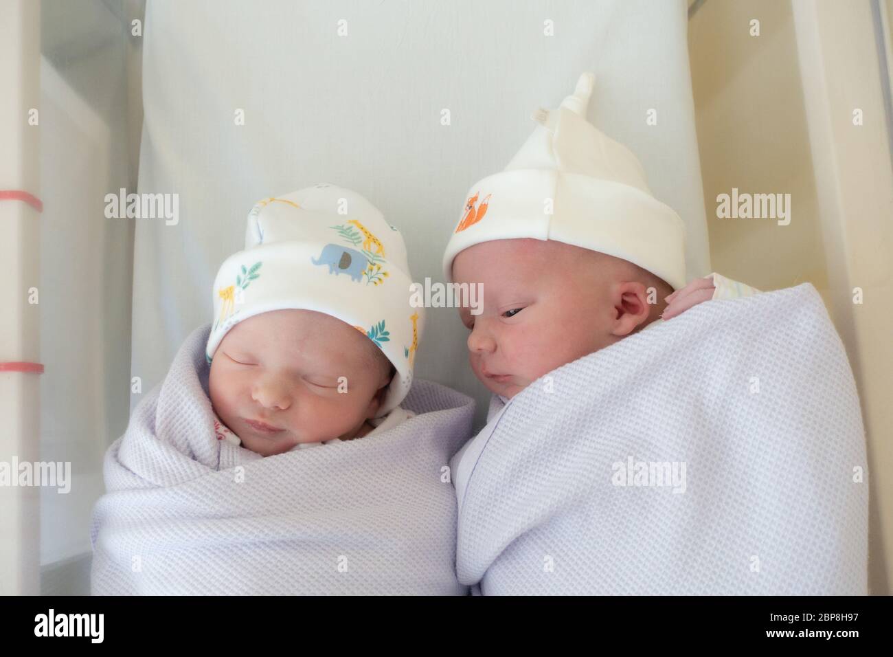 twins in one cot