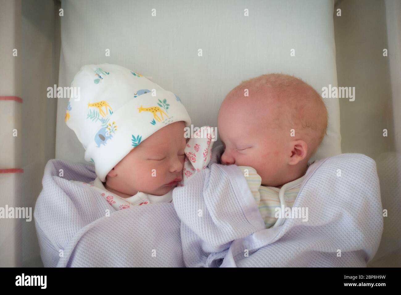 7th April 2020. Newborn male and female twins sleeping in a cot born on