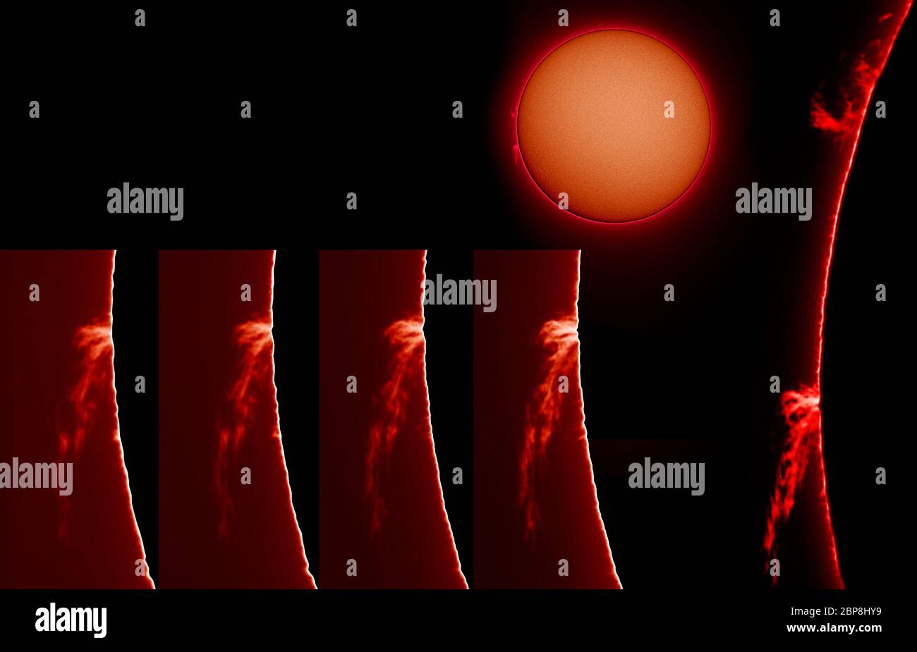 Giant prominence streaming from the solar limb on 14.5.2008, sequence imaged in Hydrogen alpha Stock Photo