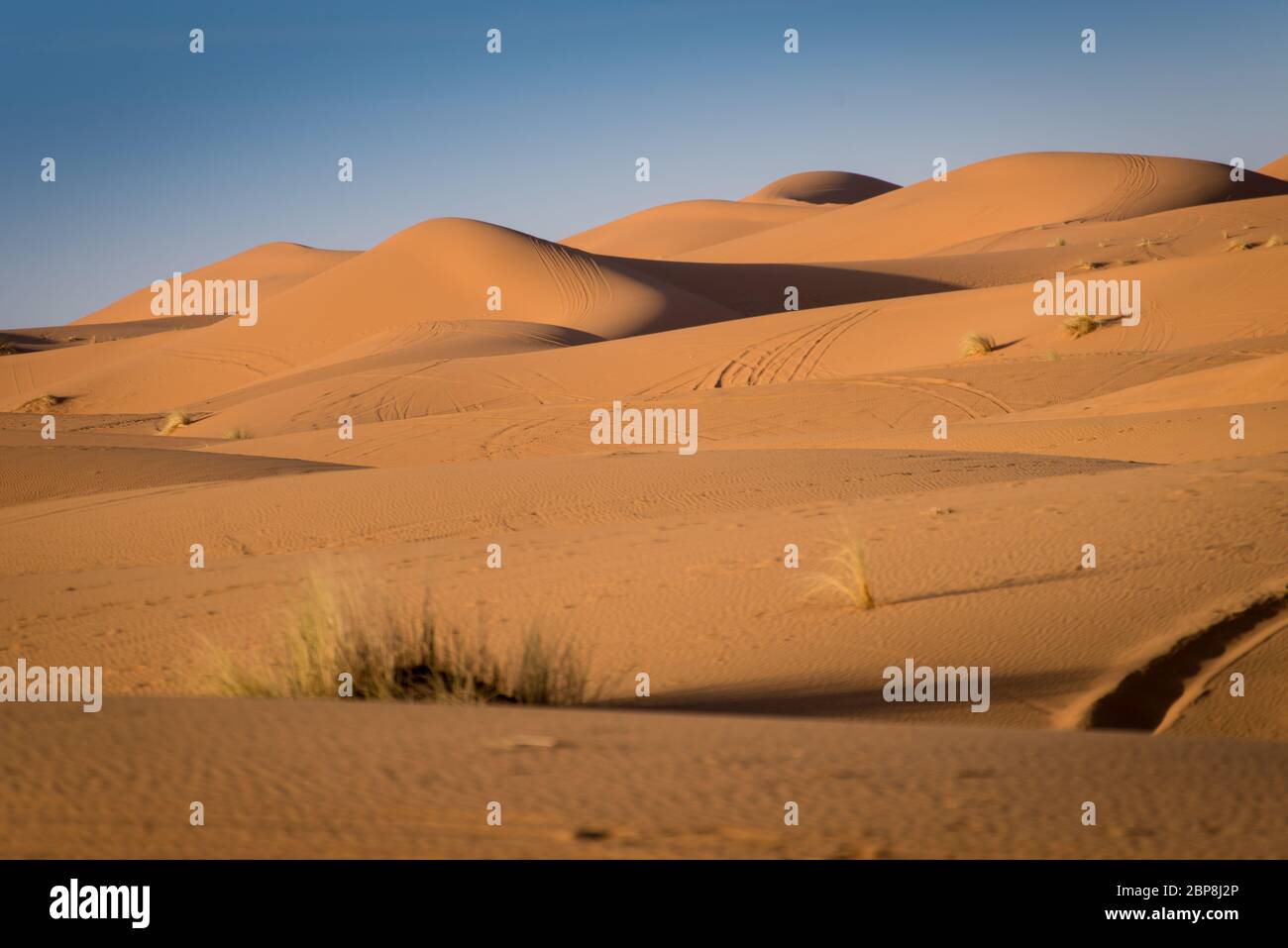 Sand Dunes In The Sahara Desert Erg Chebbi Merzouga Morocco Stock Photo Alamy
