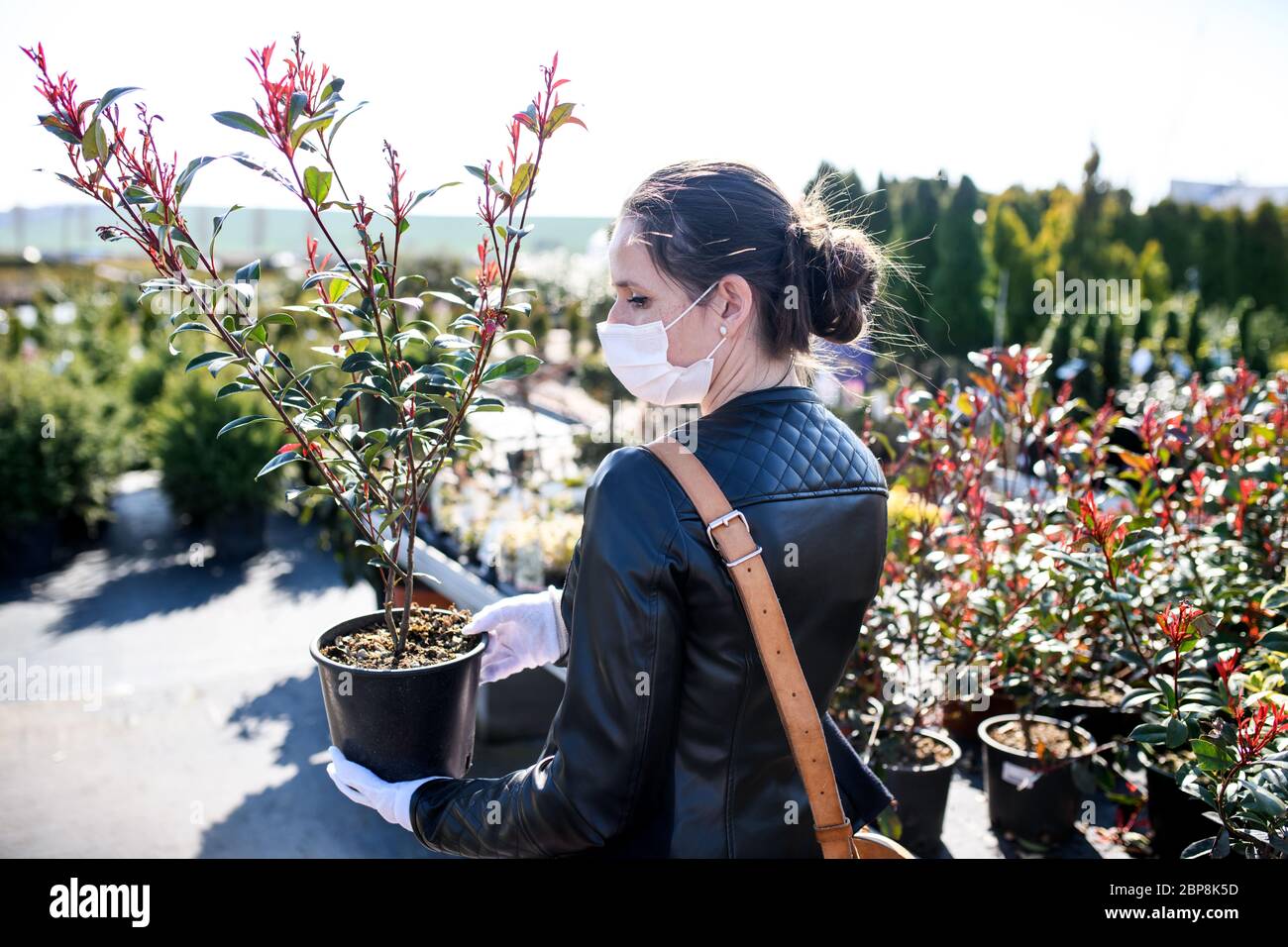 Young woman with face mask outdoors shopping in garden center, Corona virus concept. Stock Photo