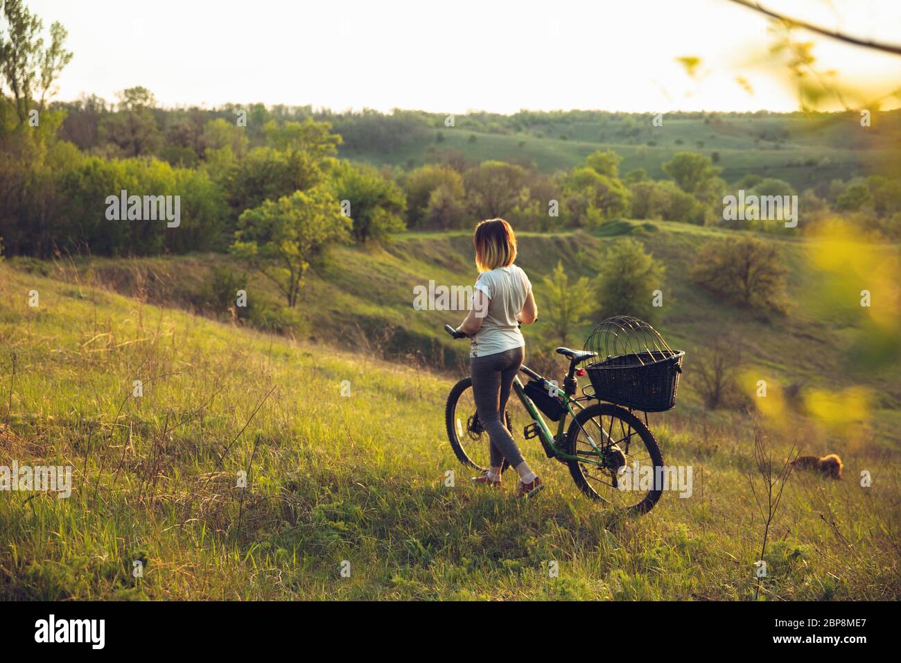 Young woman having fun near countryside park, riding bike, traveling with companion spaniel dog. Calm nature, spring day, positive emotions. Sportive, active leisure activity. Walking together. Stock Photo