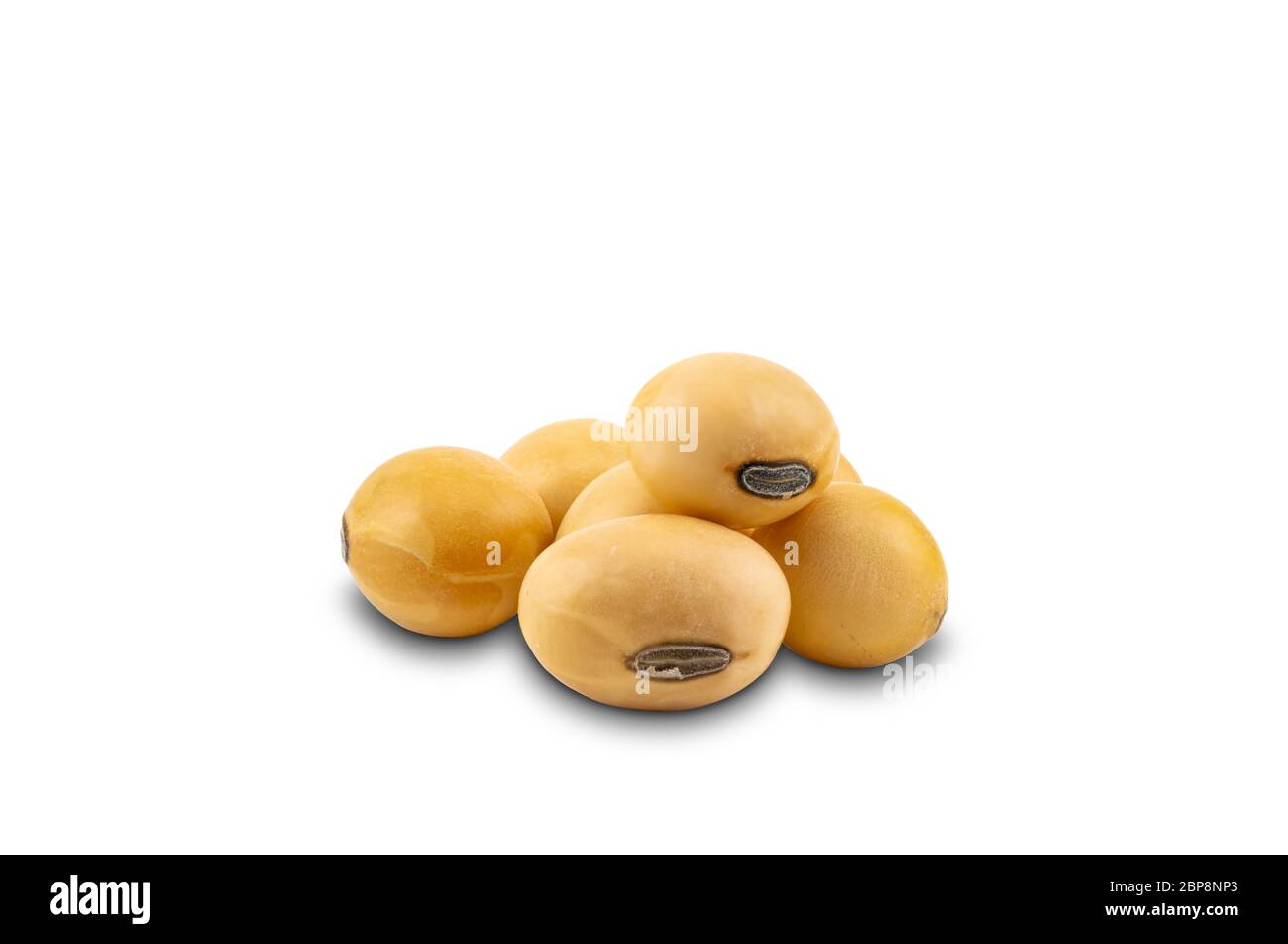 Soy beans on white background with clipping path. Soy bean or soyabean or Glycine max is a species of legume that provide vegetable protein for millio Stock Photo