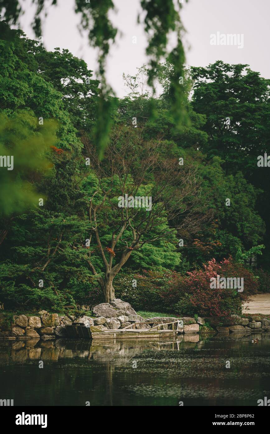 Seoul, South Korea - 17 May 2020: The Palace grounds of Changgyeonggung are full of beautiful old growth trees and oriental ponds, as well as an enclo Stock Photo