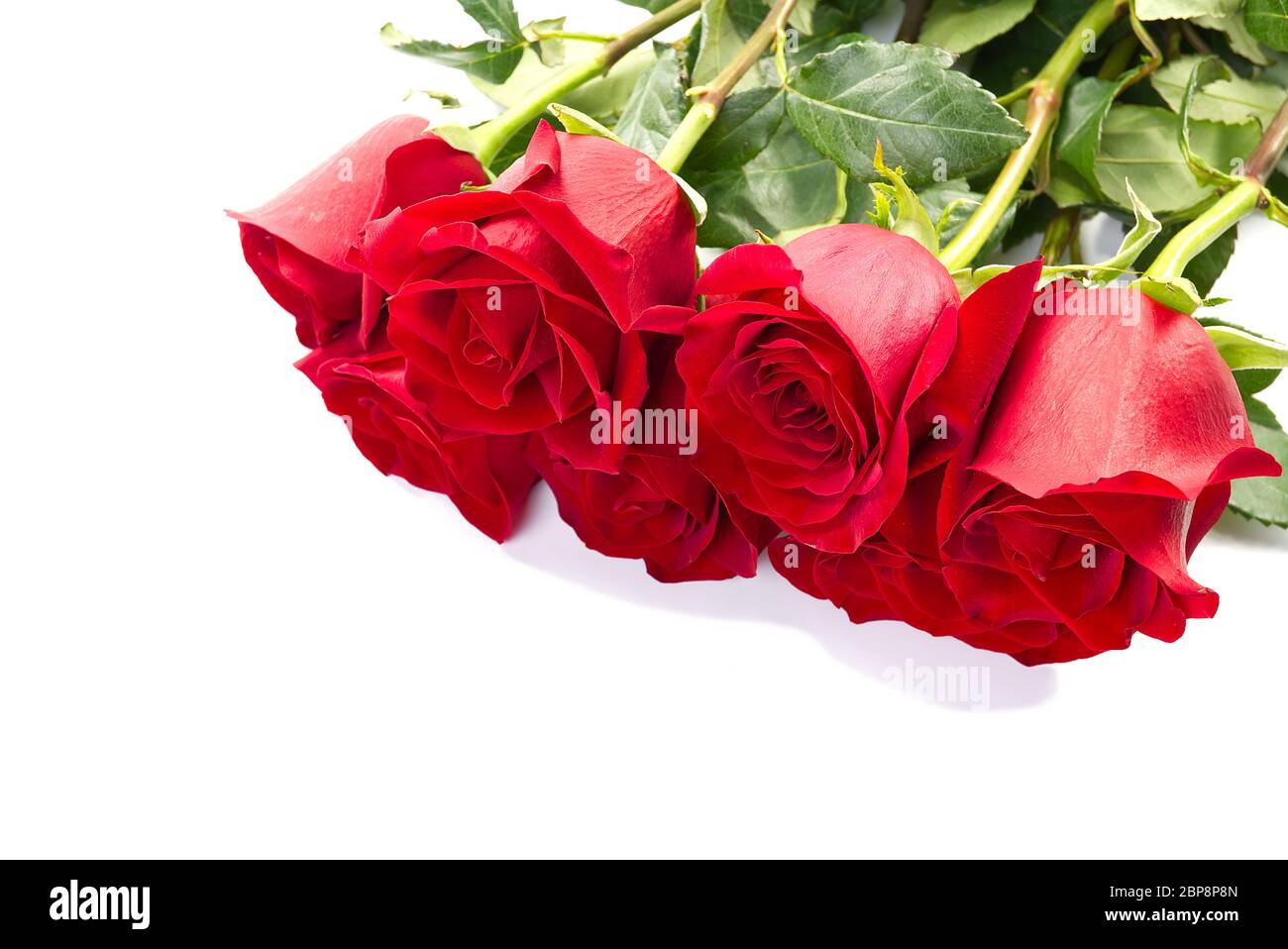 red rose bouquet isolated on white background Stock Photo - Alamy