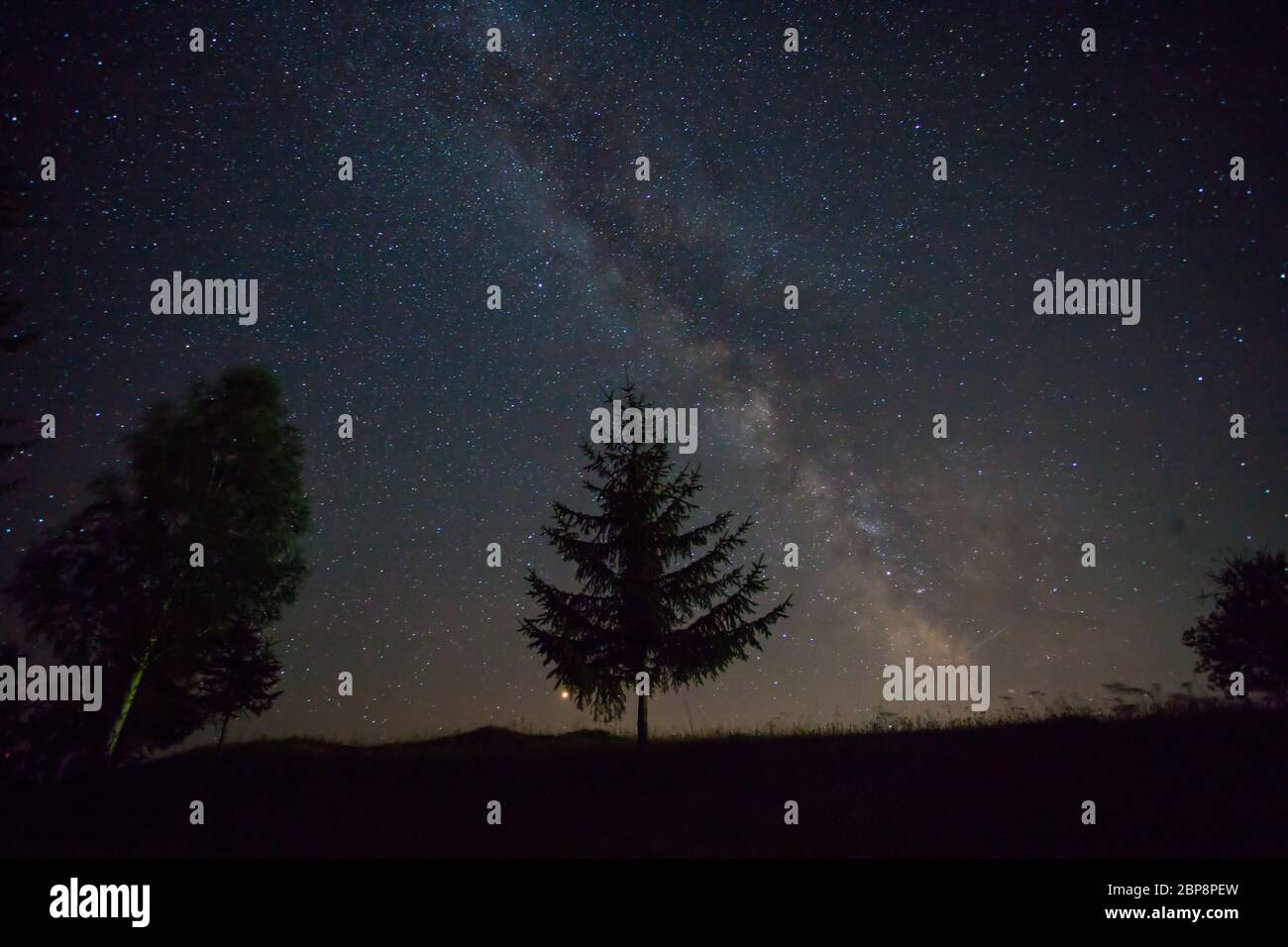 Beautiful night sky with Milky Way over lonely fir tree Stock Photo - Alamy