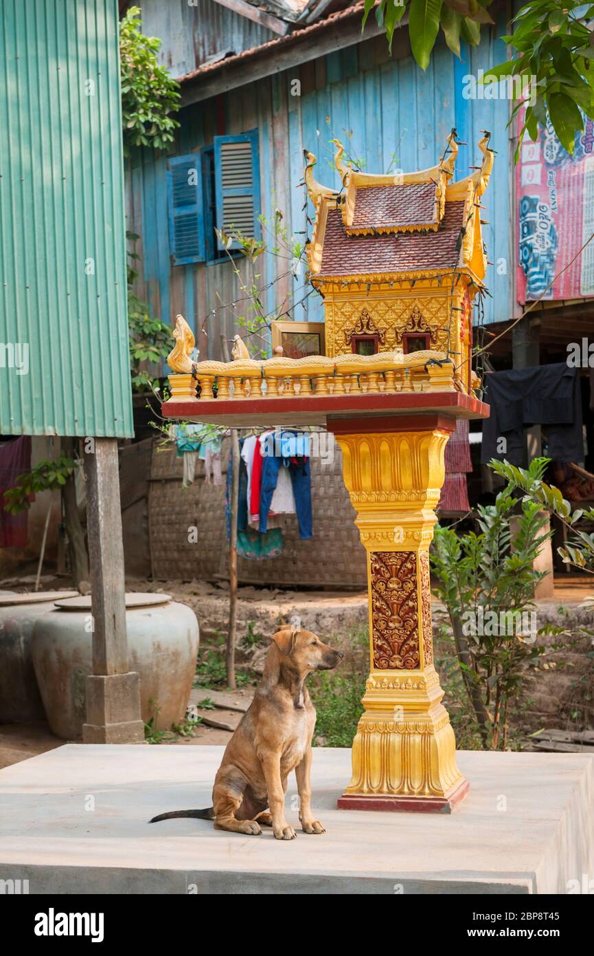 Animist animism religion religious shrine hi-res stock photography and images - Alamy Animist animism religion religious shrine hi-res stock photography and images - Alamy