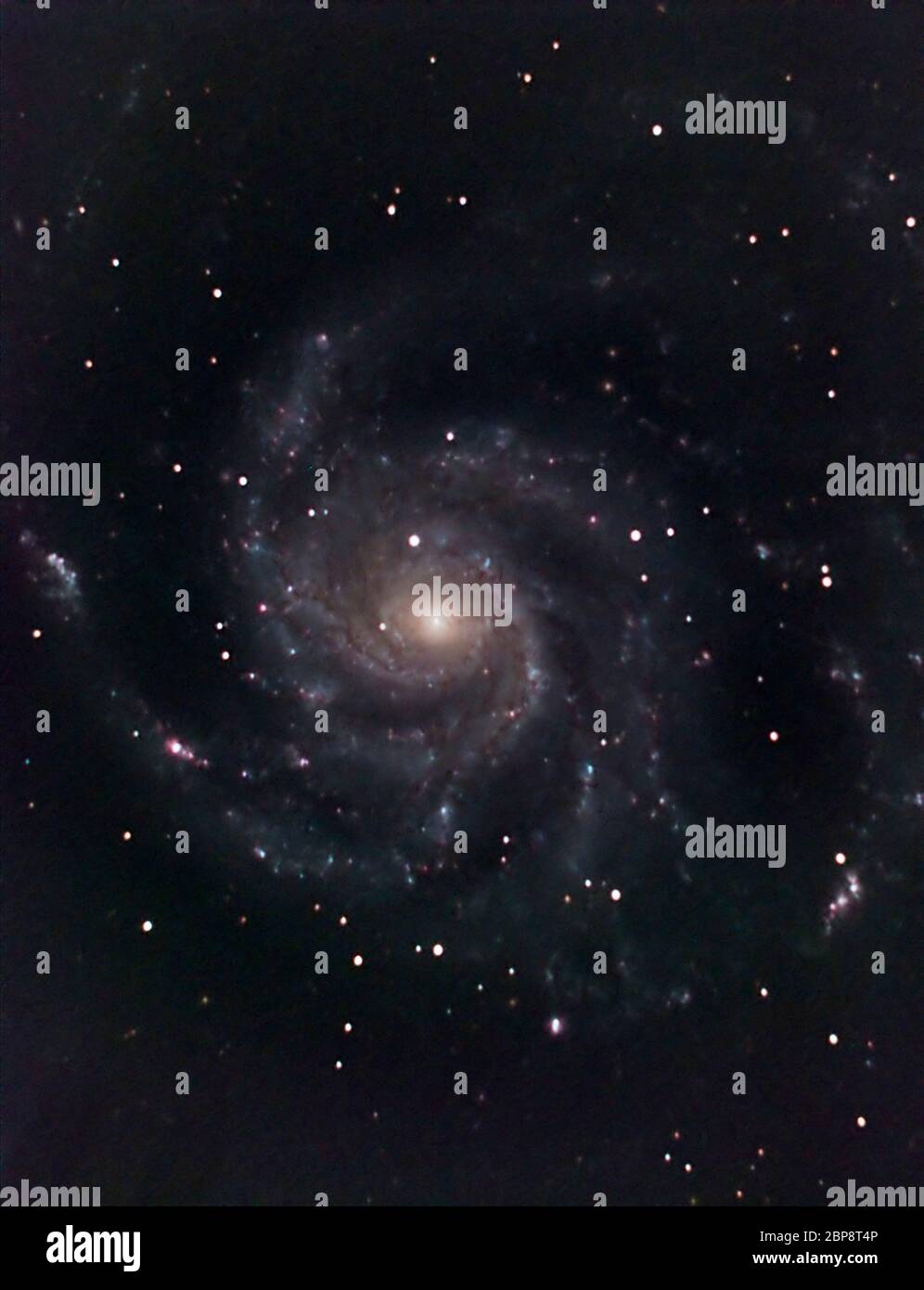 M101 spiral galaxy Pinwheel in Ursa Major, 17.5 million light years distant, 48 minute exposure with astronomical camera Stock Photo