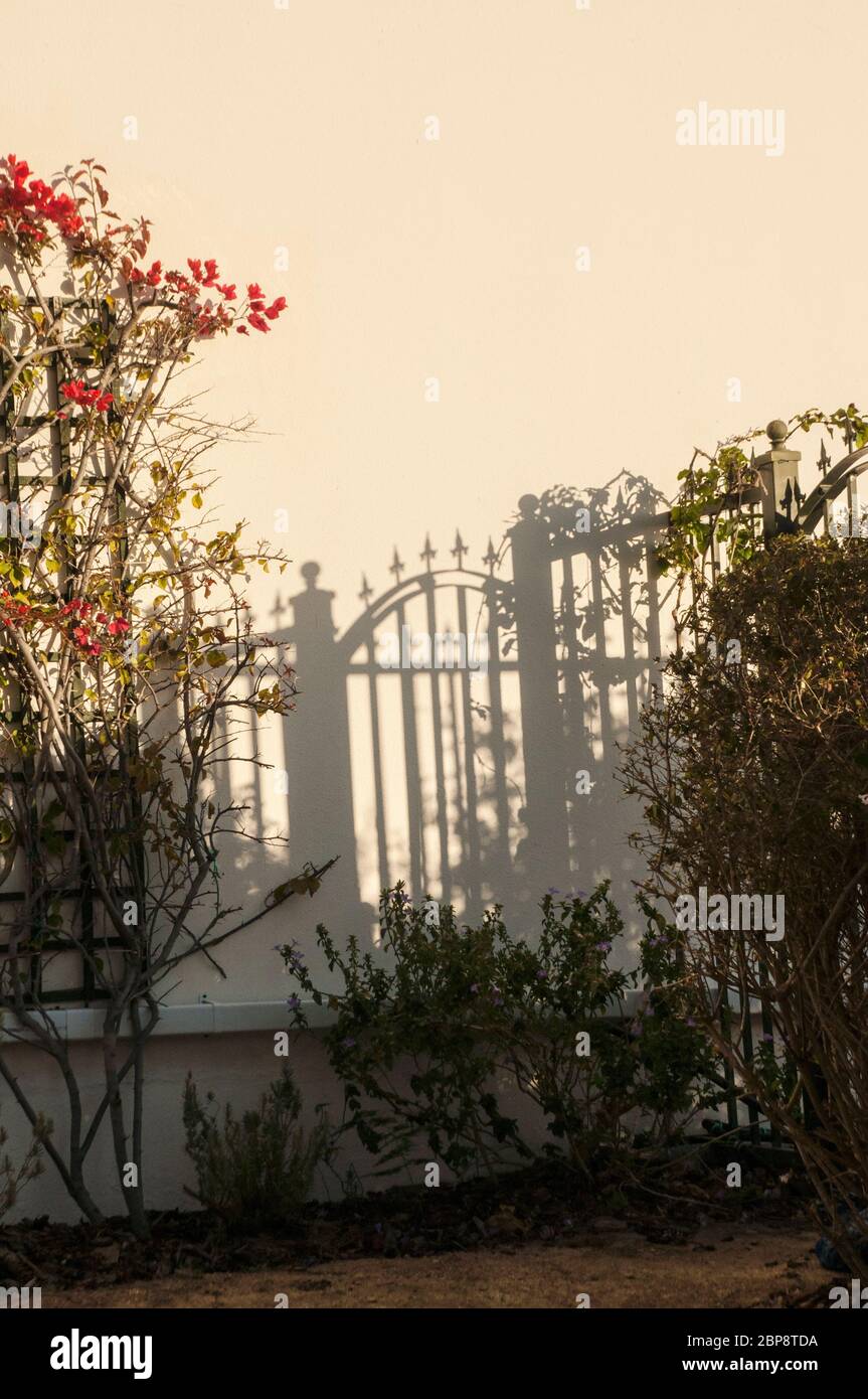 Strange shadows of a garden gate on a wall Stock Photo
