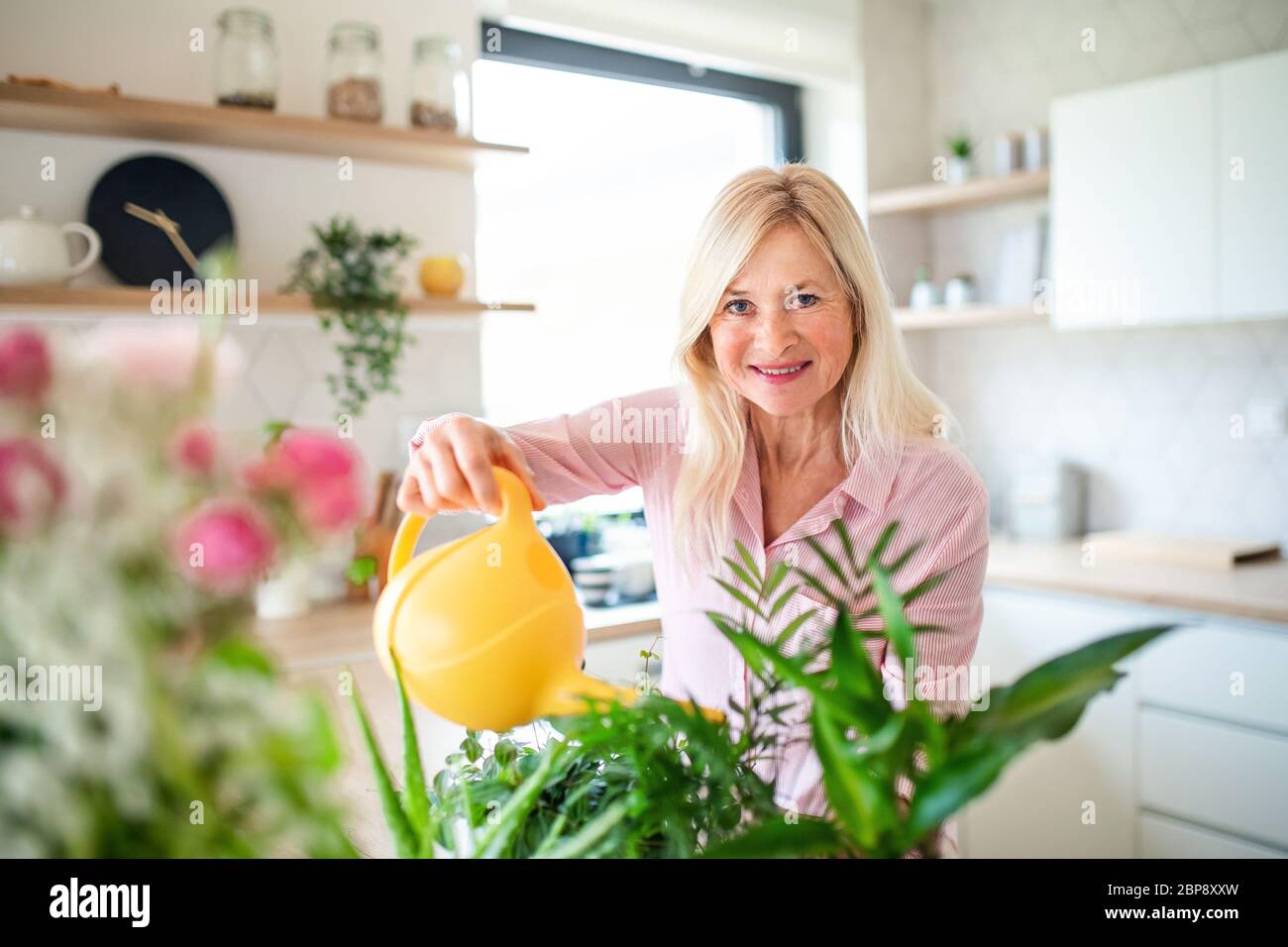 Portrait of senior woman watering plants indoors at home. Stock Photo