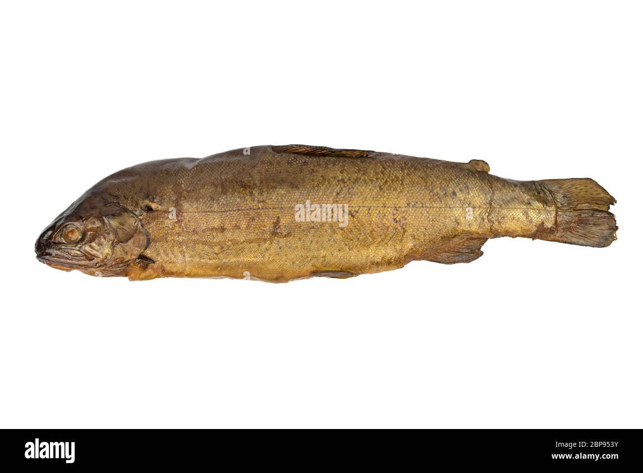 Fresh wood smoked trout fish Stock Photo Alamy