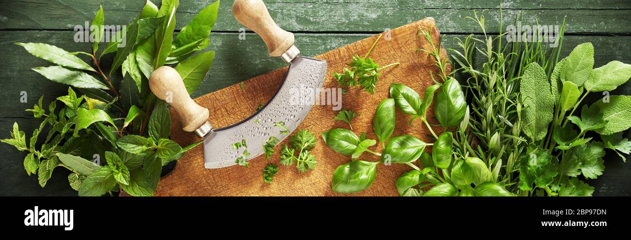 https://c8.alamy.com/comp/2BP97DN/mezzaluna-knife-on-a-wooden-chopping-board-with-assorted-fresh-aromatic-culinary-herbs-in-a-wide-angle-panorama-2BP97DN.jpg