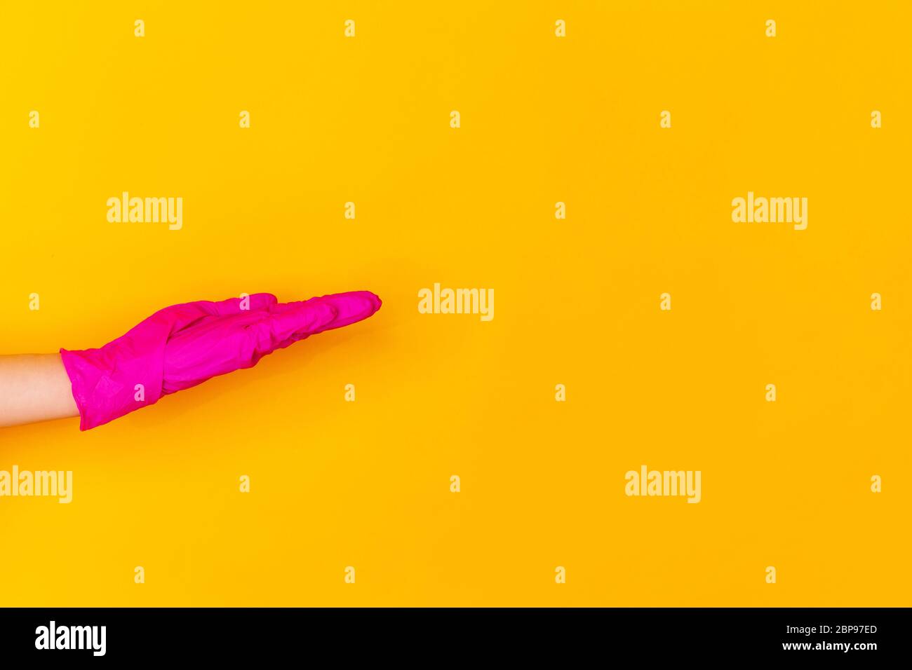 Hand in pink protective rubber glove taking, showing isolated on yellow ...