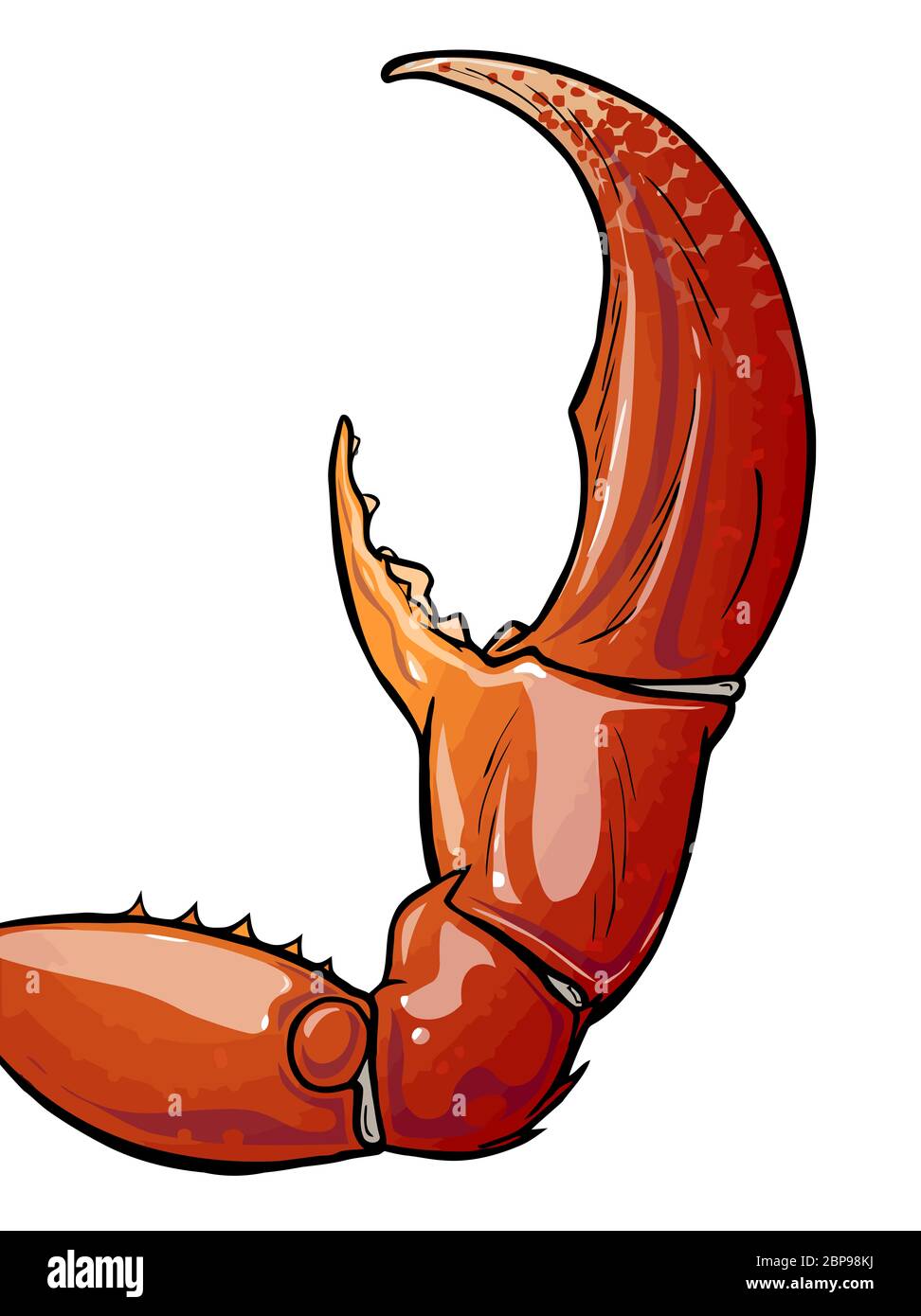 Клешни камчатского краба. Клешни камчатского краба. Клешня краба id. Клешня краба id. Клешни краба без фона.