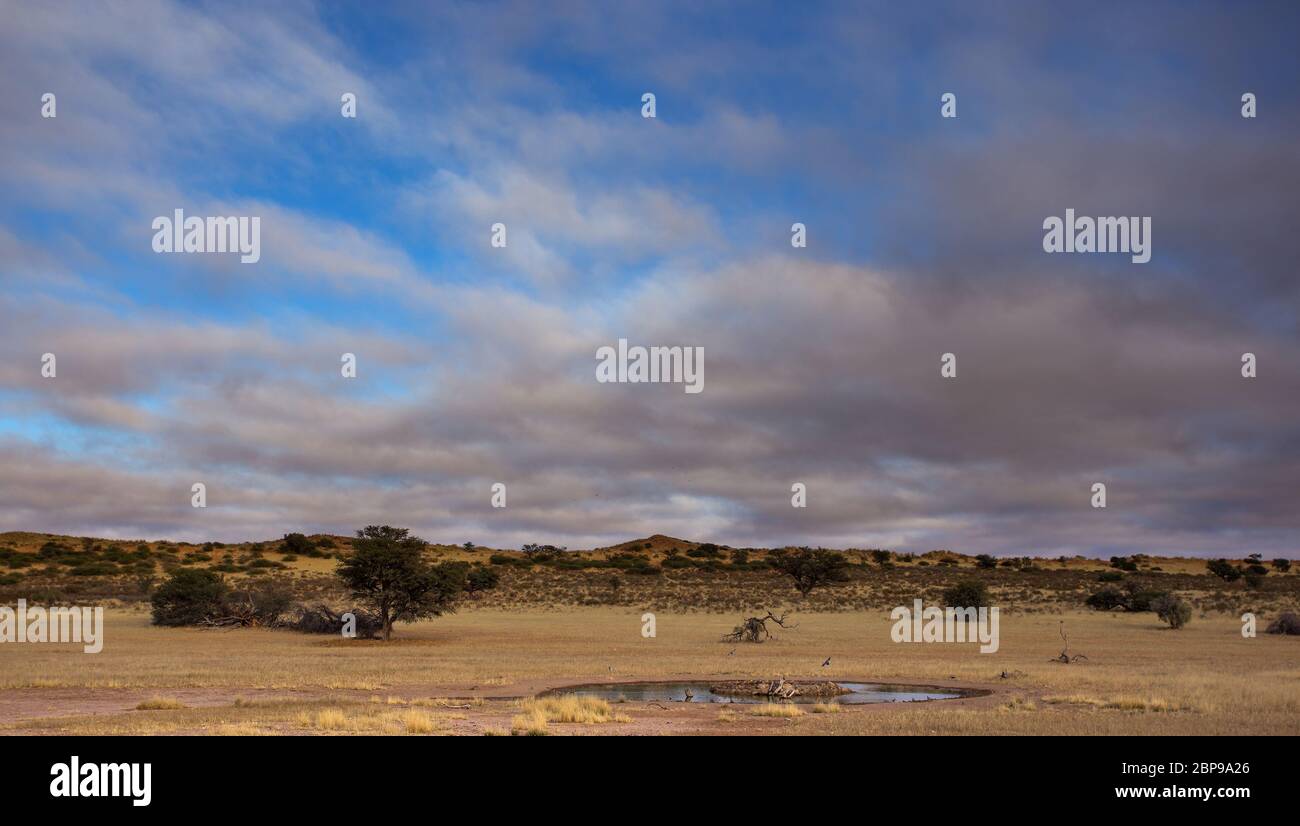 Kgalagadi, kalahari landscape Stock Photo