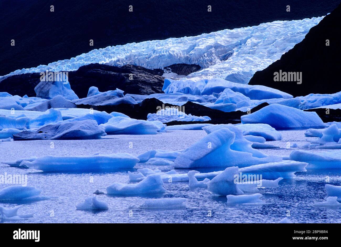 Icebergs in Laguna and  Glacier Onelli . Lago Argentino. Los Glaciares National Park. Santa Cruz province. Patagonia. Argentina. Stock Photo