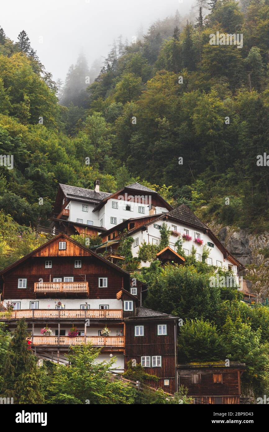 Rural houses among the mountain trees Stock Photo