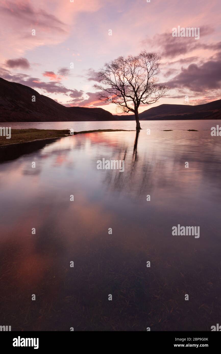 Dawn, Loch Morie, Kildermorie Estate, Highlands, Scotland Stock Photo
