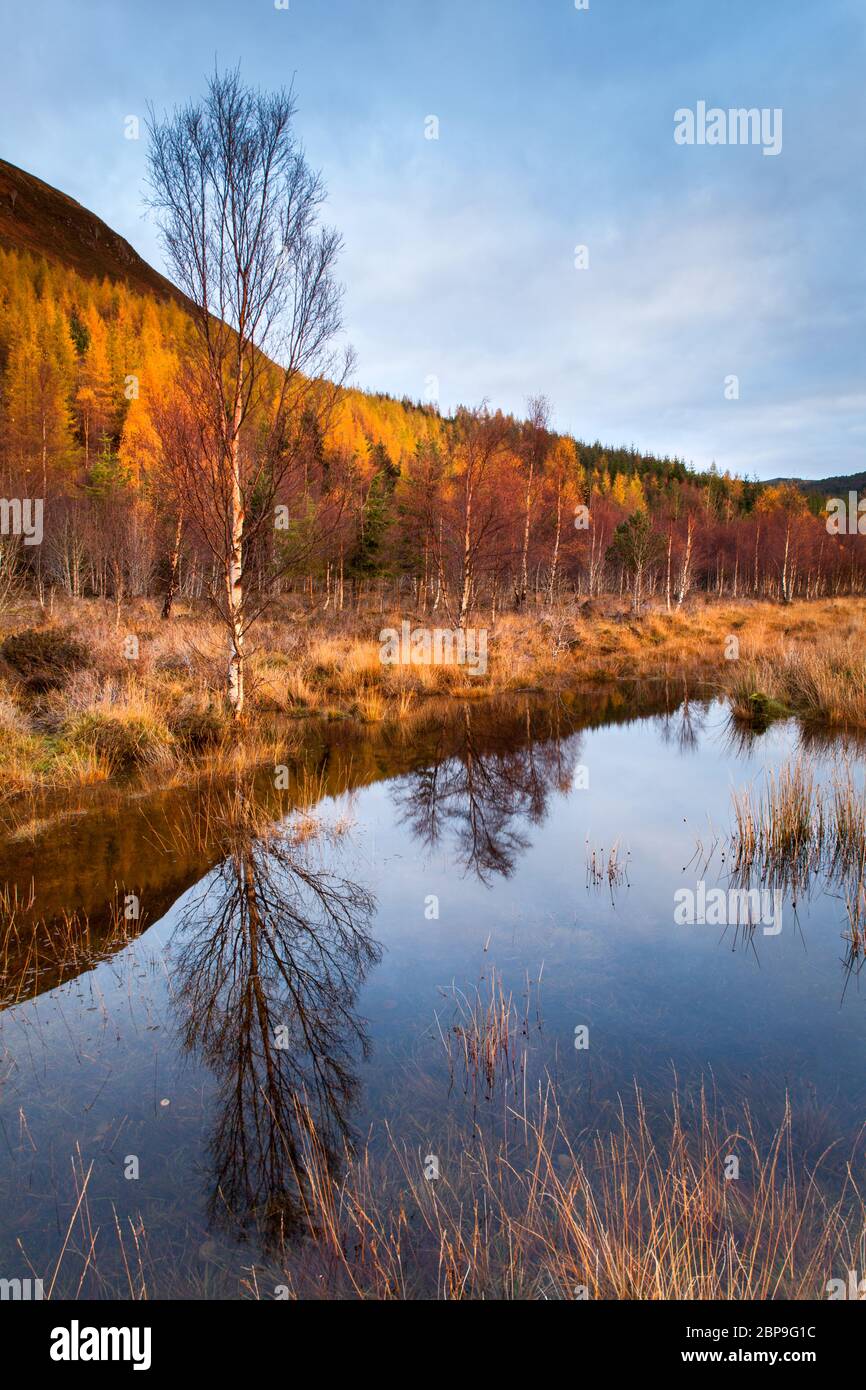 Sunrise, Loch Morie, Kildermorie Estate, Highlands, Scotland Stock Photo