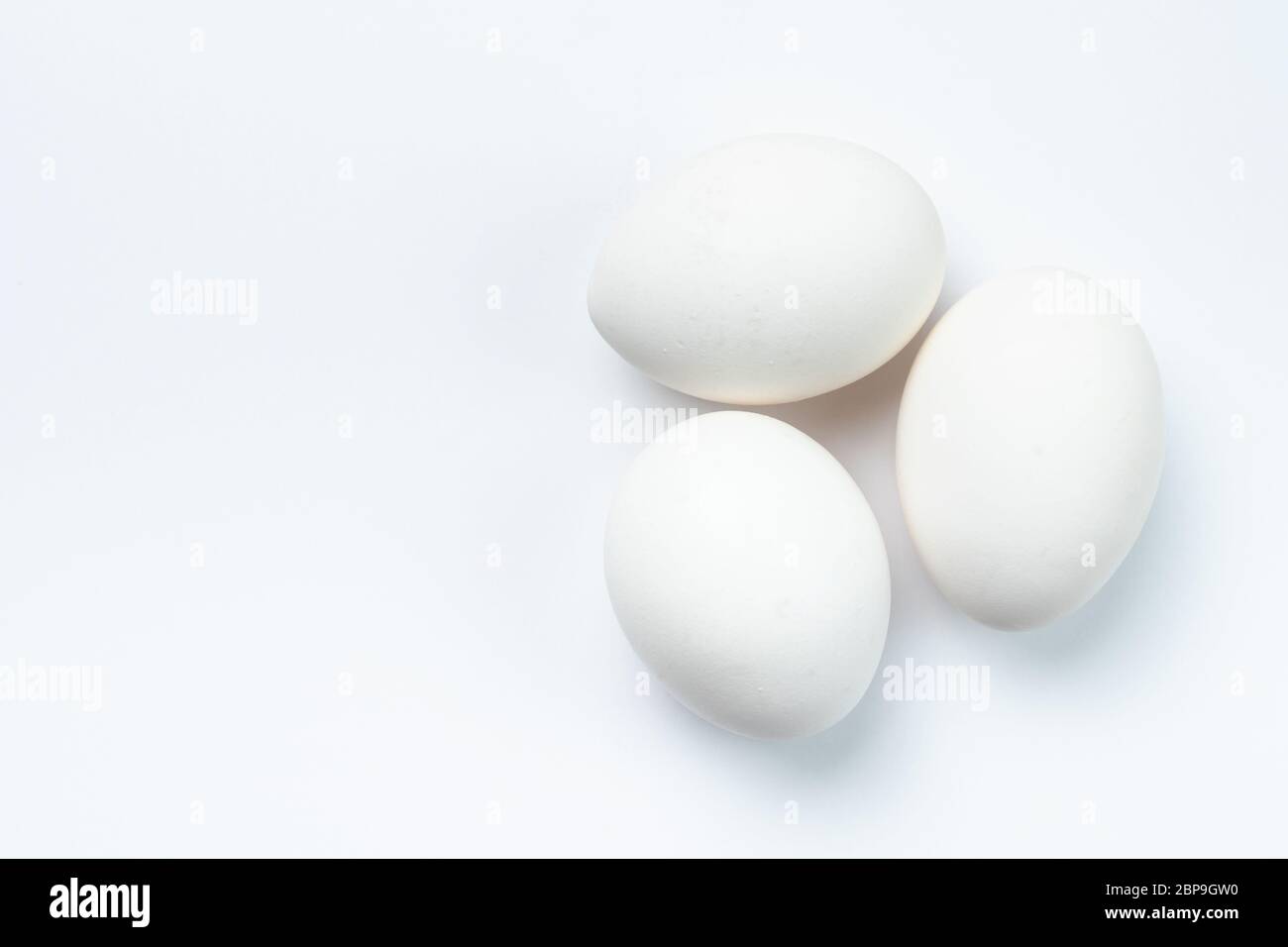 Three white chicken eggs Stock Photo