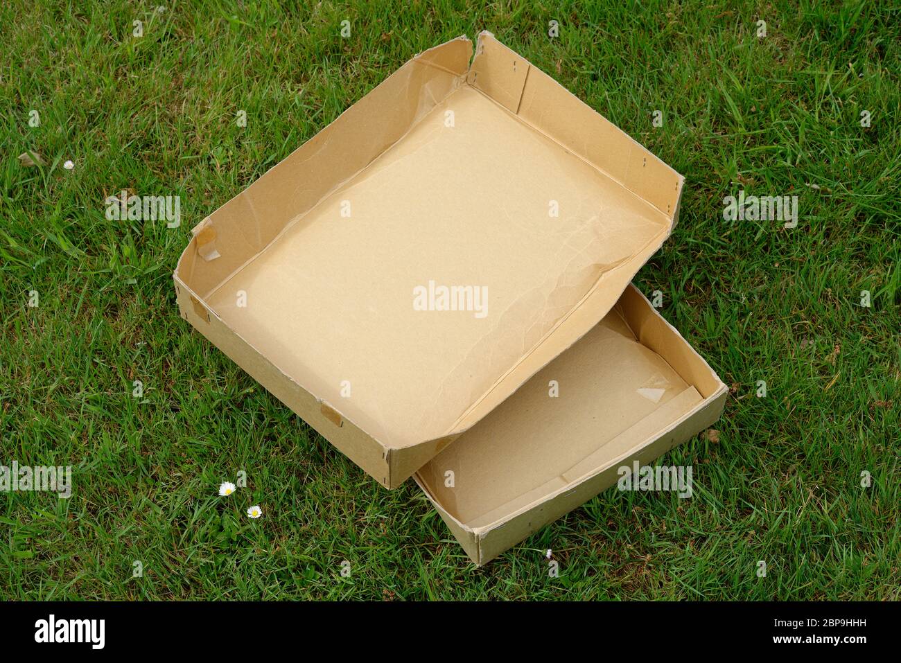 An open old cardboard box from the 1960's from Mary Lee a department