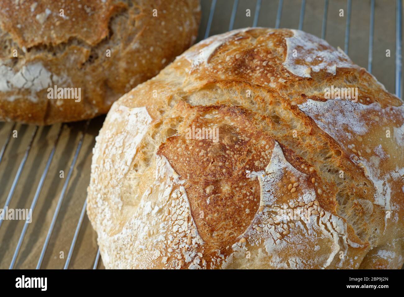 Home made bread. Sourdough bread loaves. Wholemeal and white. Stock Photo