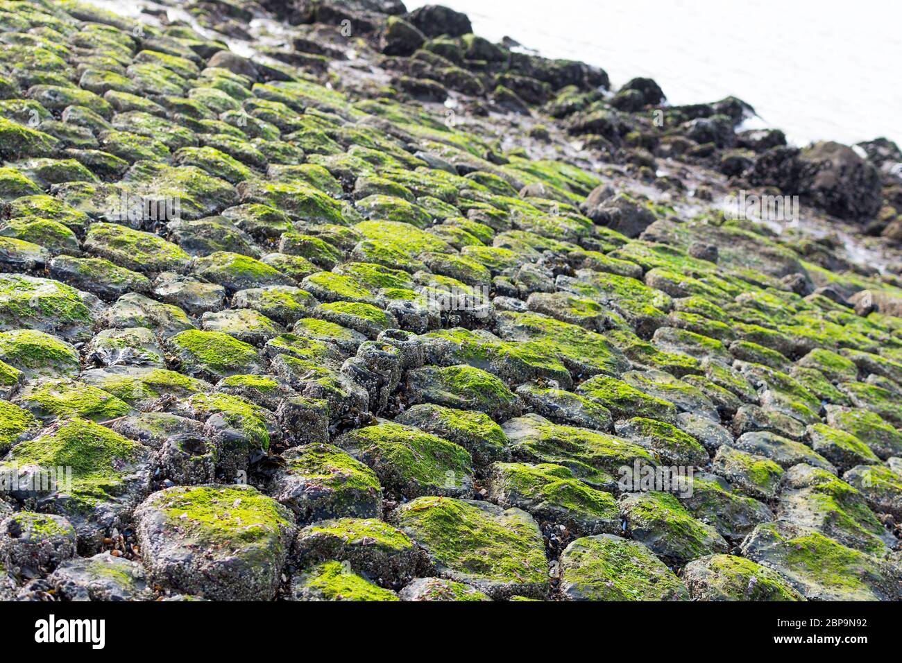 Erosion protection close hi-res stock photography and images - Alamy