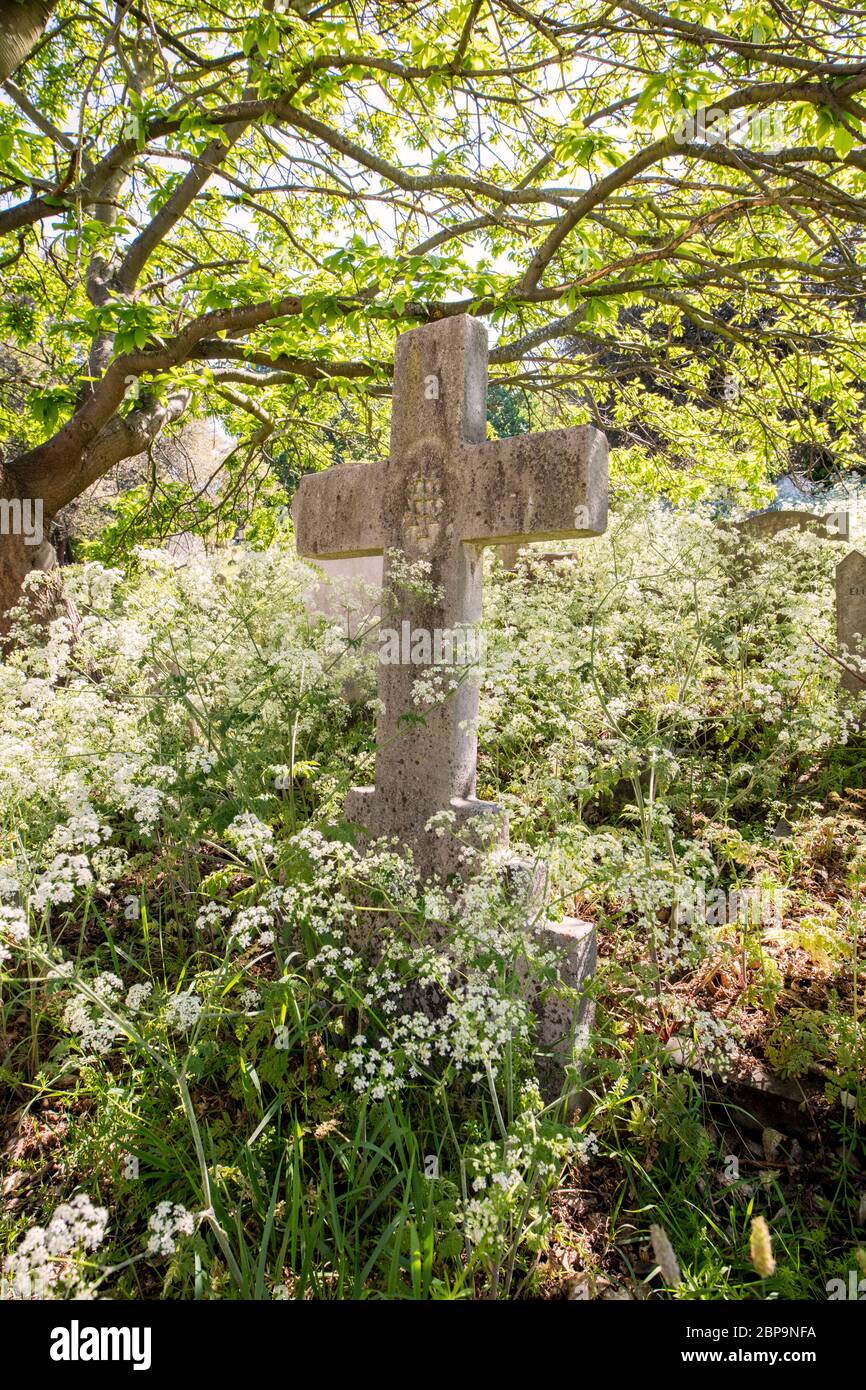 Brompton Cemetery, one of the Magnificent Seven London cemeteries, Old Brompton Road, London Stock Photo